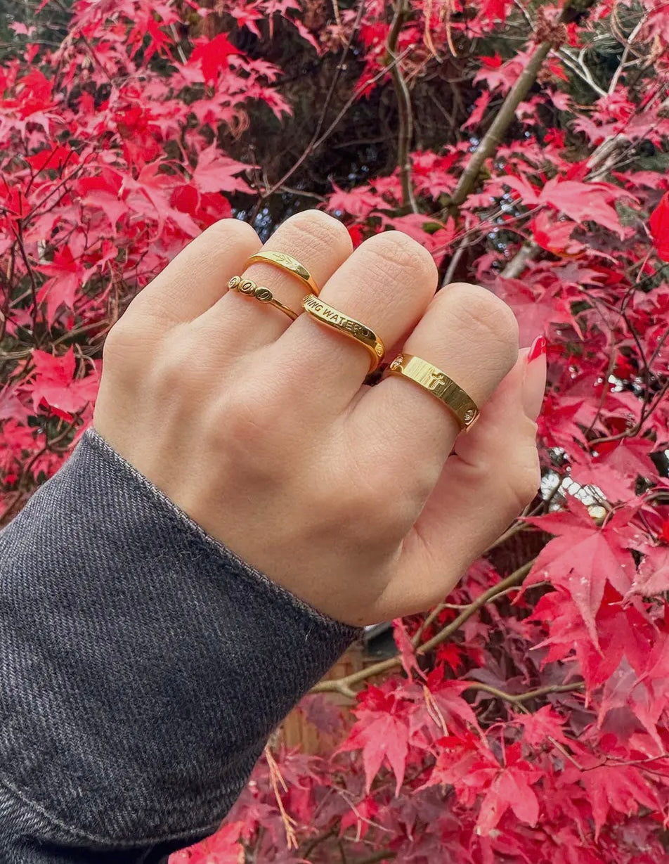 Hand wearing gold rings with a red leafy background